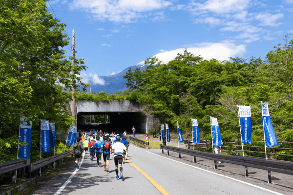 過去大会の様子