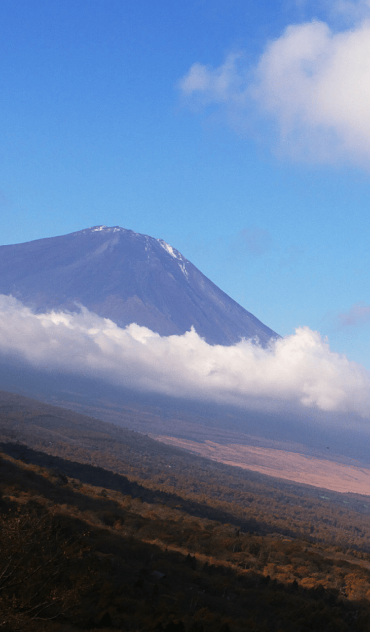 富士山の画像